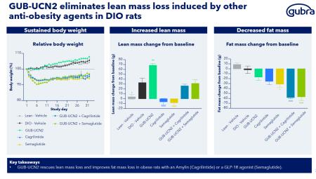Amylin, Fedme, GLP1, Gubra, Obesity, UCN2